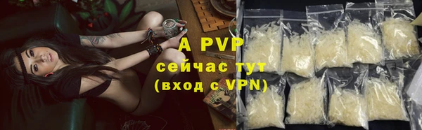 винт Алексин