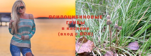 трава Алзамай