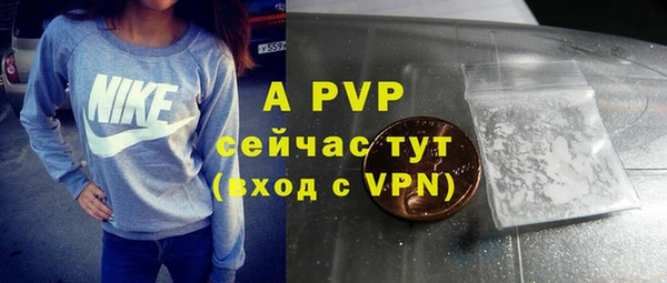 винт Алексин