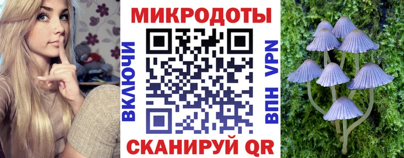 blacksprut вход  цены   Дедовск  Галлюциногенные грибы Magic Shrooms 