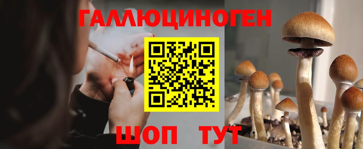Галлюциногенные грибы Cubensis Дедовск